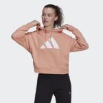 Image de W FI 3B HOODIE  M Saumon