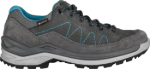 Image de TORO PRO GTX LO WS  40 Gris anthracite