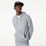Image de NBA ESSENTIALS FZ HOODY LOSLAK  L Gris