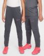 Image de K NK DF ACD 23 PANT KP