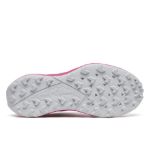 Image de PEREGRINE 15 - W  7 US - 38 Framboise