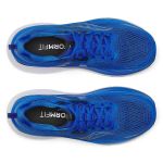 Image de GUIDE 18 - M  10 US - 44 Bleu royal