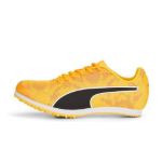 Image de EVOSPEED STAR 8 JUNIOR  37 Orange