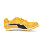 Image de EVOSPEED STAR 8 JUNIOR  37 Orange