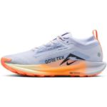 Image de NIKE PEGASUS TRAIL 5 GTX  9US - 42 1/2 Bleu clair