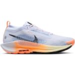 Image de NIKE PEGASUS TRAIL 5 GTX  11US - 45 Bleu clair