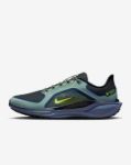 Image de AIR ZM PEGASUS 41 GTX  10.5US - 44 1/2 Kaki