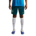 Image de BRESIL STRIKE SHORT  L Vert