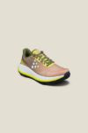 Image de XPLOR 2 W  6 - 39.5 Brun